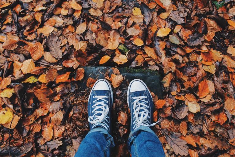 If You Pay Close Attention, This Is What Autumn Can Teach You About Life