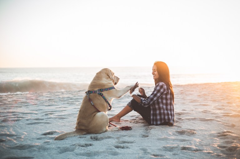 3 Zodiac Signs Who Have The Strongest Connection To Dogs