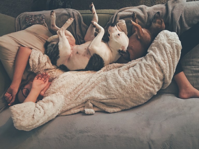3 Birth Months With The Strongest Connection To Dogs
