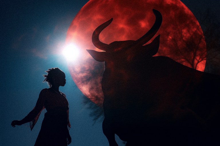 Horoscope For Today: Friday, November 24, 2023