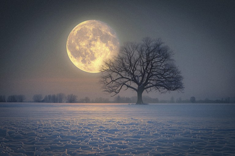 3 Zodiac Signs That Will Be Impacted By The Full Snow Moon On February 24, 2024