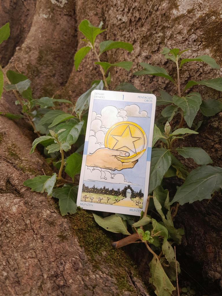 Tarotscope For Today: Thursday, June 6, 2024