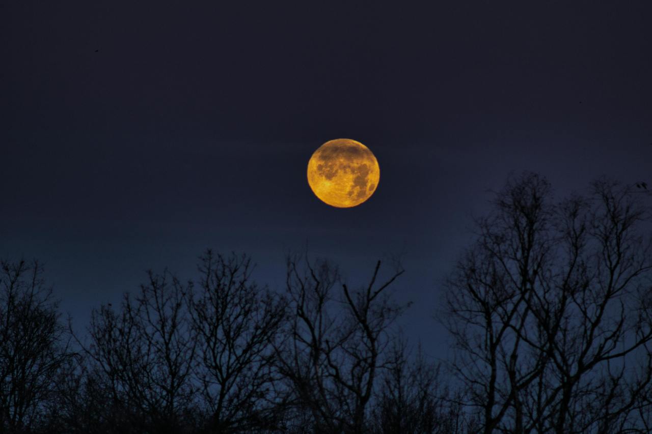 Music Tarot Reading For The Full Corn Moon On September 7