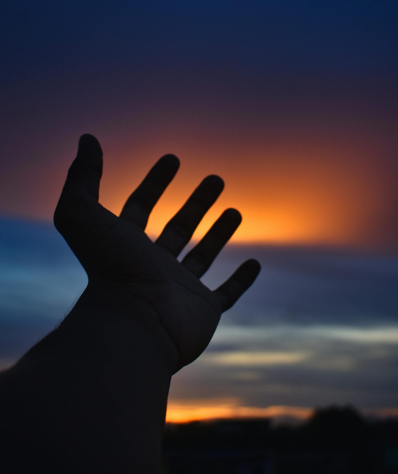 4 Zodiacs Starting A Chapter Of Sacred Surrender This Advent