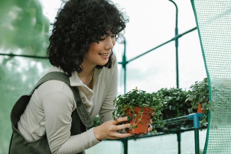 Which Houseplant Matches Your Birth Month Personality