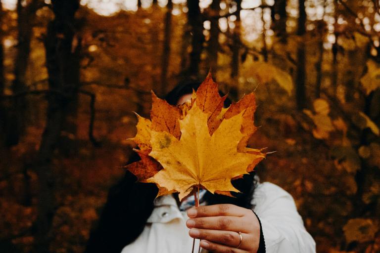 6 Birth Months Who Are Embracing Autumnal Beginnings