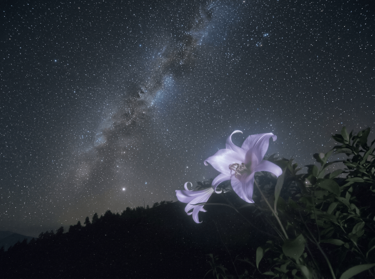 White lily flower glowing against a sweeping Milky Way and starry night sky, with a dark tree-lined hillside silhouette below.