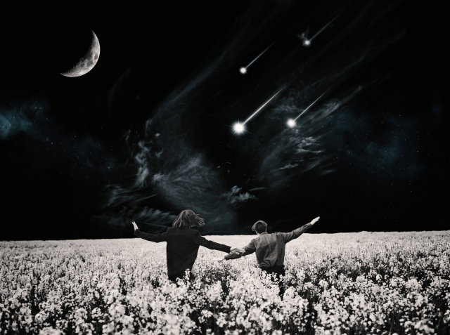 Black and white digital art of two people holding hands in a flower field, arms spread wide, with a crescent moon and shooting stars in the dark sky.