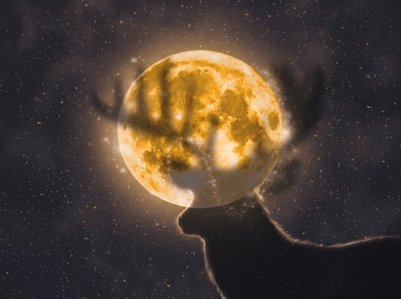 Silhouette of a deer with antlers framed against a large glowing golden full moon in a dark, star-filled night sky.